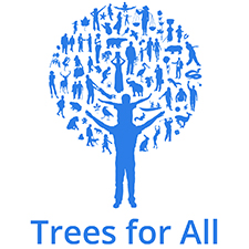 trees for all teambuilding Preston